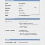 Microsoft Vorlagen Lebenslauf Elegant Wunderbar Kostenloser Professioneller Lebenslauf Vorlagen