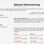 Microsoft Vorlagen Lebenslauf Erstaunlich 15 top Microsoft Word Lebenslauf Vorlagen Völlig Kostenlos