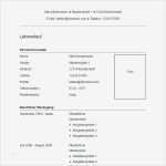 Microsoft Vorlagen Lebenslauf Erstaunlich Fein Microsoft Beispiel Lebenslauf Zeitgenössisch Ideen