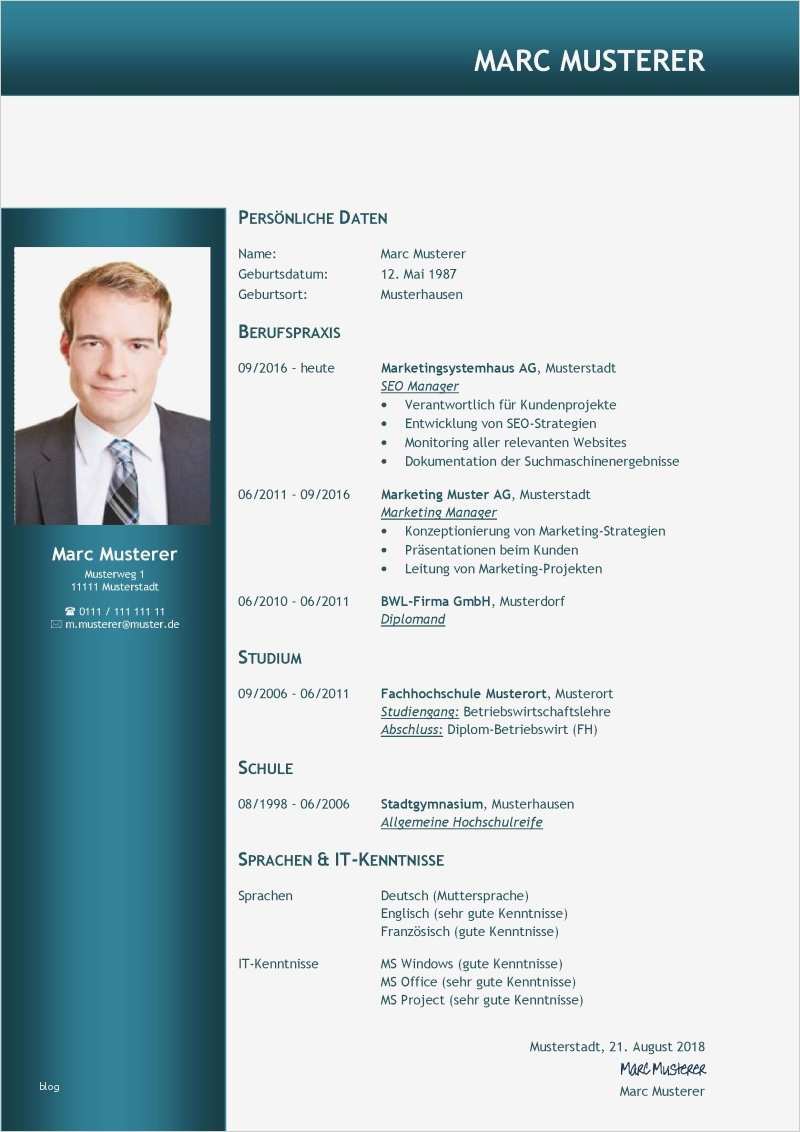 Wunderbar Kostenloser Professioneller Lebenslauf Vorlagen