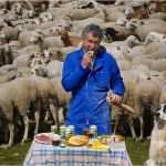 Mietbescheinigung Zur Vorlage Bei Der Wohngeldbehörde Genial 环球一日口粮一览 西班牙放羊人miguel Ngel Martn Cerrada的一日