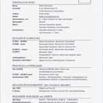 Mietbürgschaft Vorlage Kostenlos Fabelhaft Luxus Bilder Von Lebenslauf Tabellarisch Muster