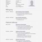 Mietbürgschaft Vorlage Kostenlos Neu Luxus Bilder Von Lebenslauf Tabellarisch Muster