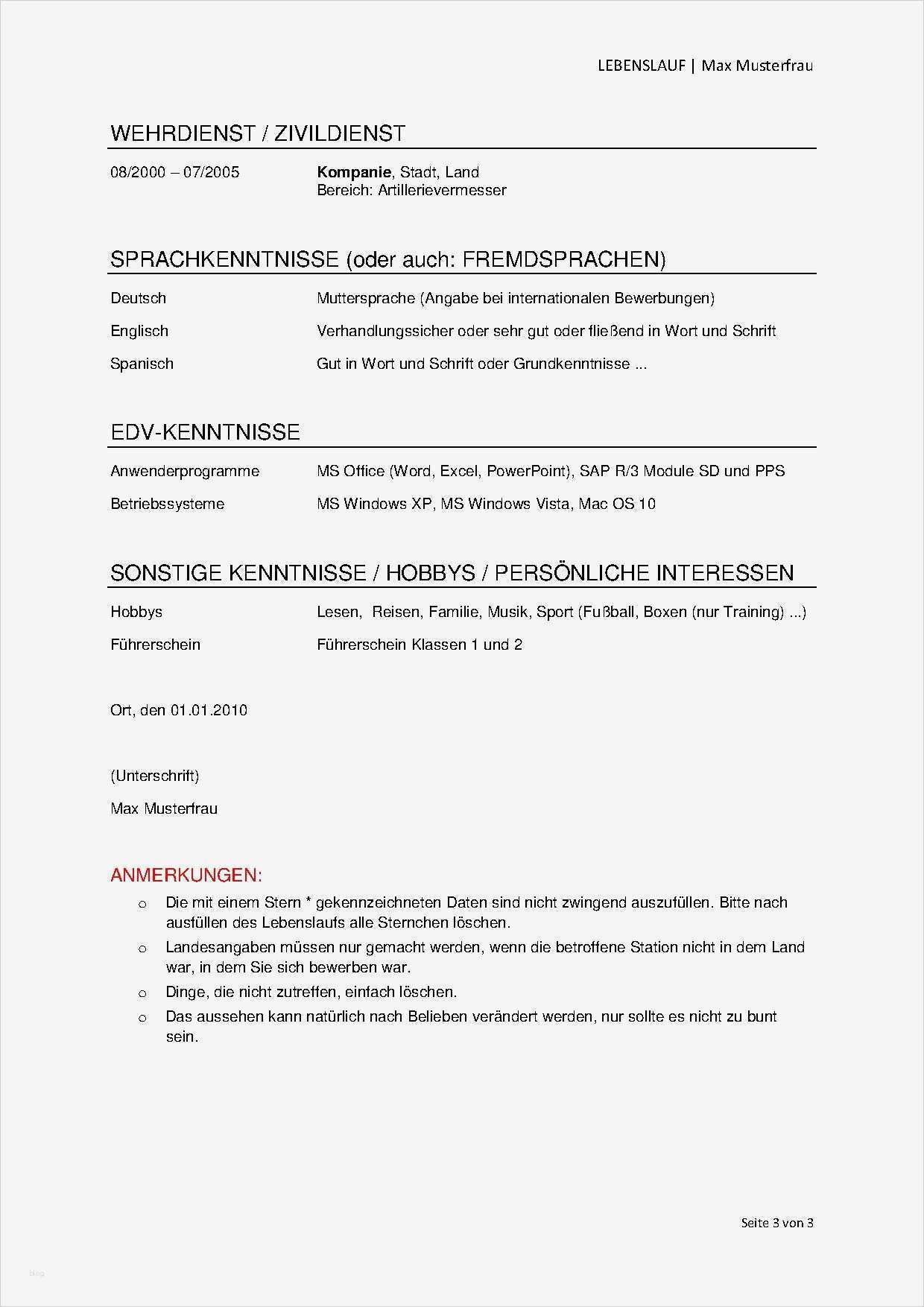 Mieterselbstauskunft Studenten Vorlage Erstaunlich Lebenslauf Vorlagen Headhunter100