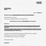 Mietminderung Vorlage Beste Nett Vorlage Der Arbeitserklärung Fotos Entry Level