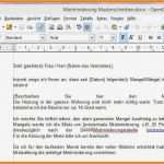 Mietminderung Vorlage Schönste 6 Mietminderung Muster