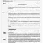 Mietvertrag Home Office Vorlage Schönste tolle Vermieter Mietvertrag Vorlage Ideen Entry Level