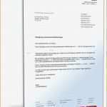 Mietvertrag Vorlage Word Erstaunlich 6 Kündigung Mietvertrag Vorlage Word