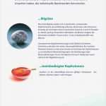 Migräne Tagebuch Vorlage Großartig Nett Migräne Tagebuch Vorlage Fotos Entry Level Resume