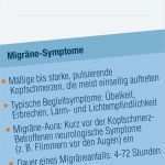 Migräne Tagebuch Vorlage Schön Nett Migräne Tagebuch Vorlage Fotos Entry Level Resume