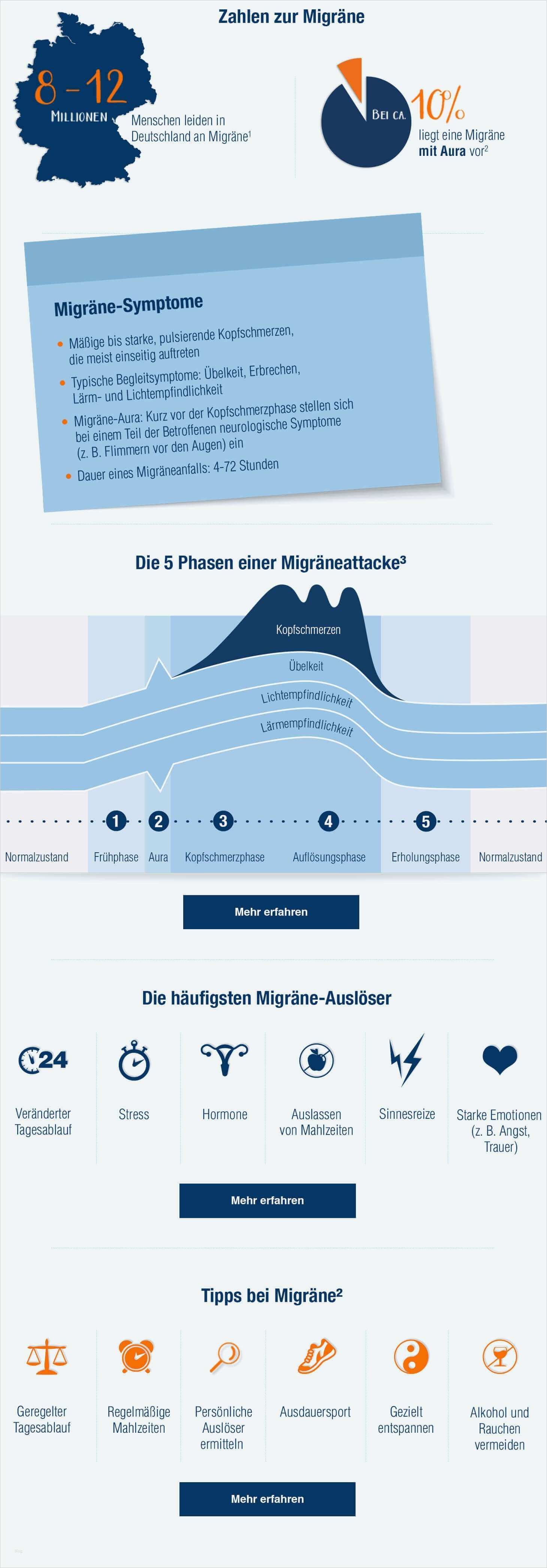 Migräne Tagebuch Vorlage Süß Nett Migräne Tagebuch Vorlage Fotos Entry Level Resume
