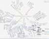 Mindmap Vorlage Leer Cool Phw Zusammenfassungen Vwl Marketing Fibu Bebu Recht