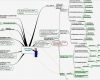 Mindmap Vorlage Leer Einzigartig organisationsanalyse Vorteilspaket Zum Download