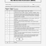 Mini Mental Test Vorlage Elegant Mental Status Exam Template