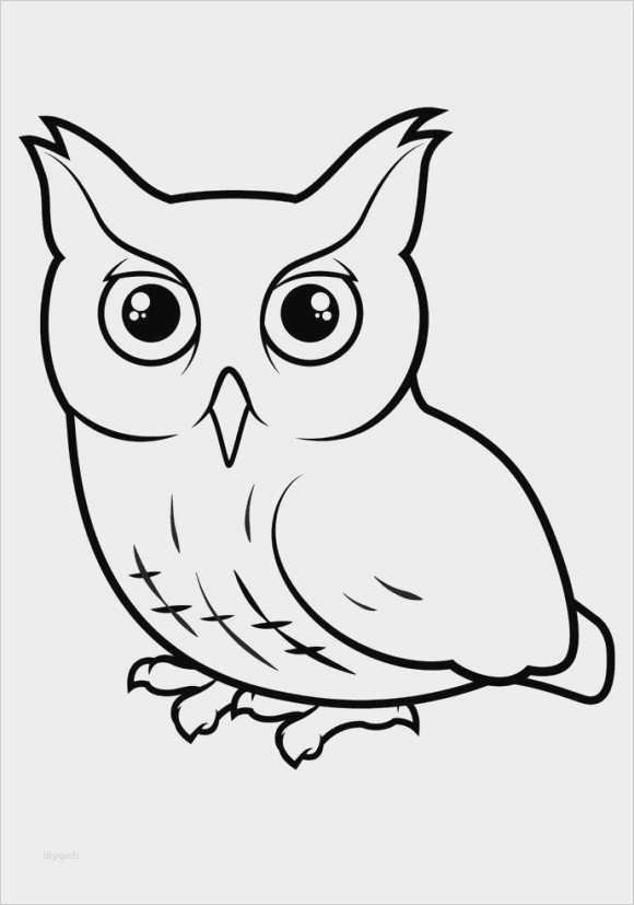 Ministeck Pins Vorlagen Kostenlos Luxus tolle Kostenlose Eule Vorlagen Ideen