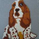 Ministeck Vorlagen Gratis Wunderbar Bohero Zoekt 6 Vrijwilligers Willen Helpen Bij Het