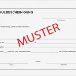 Mitarbeiterausweis Vorlage Hübsch Wunderbar Schulausweis Vorlage Fotos Beispiel