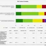 Mitarbeiterbefragung Zufriedenheit Vorlage Elegant Großartig Mitarbeiterbefragungsvorlagen Galerie Entry