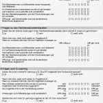 Mitarbeitergespräch Fragebogen Vorlage Erstaunlich Muster Fragebogen Zur Erfassung Der Servicequalität An