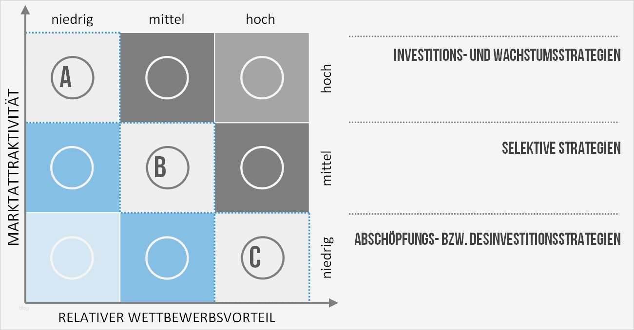 Mitarbeitergespräch Fragebogen Vorlage Schön Portfolio Analyse Als Instrument Im Business Development