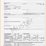 Mitarbeitergespräch Vorlage Pdf Luxus 6 Muster formular