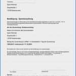 Mitgliedsantrag Vorlage Elegant Großartig Kreditplan Vorlage Zeitgenössisch Ideen