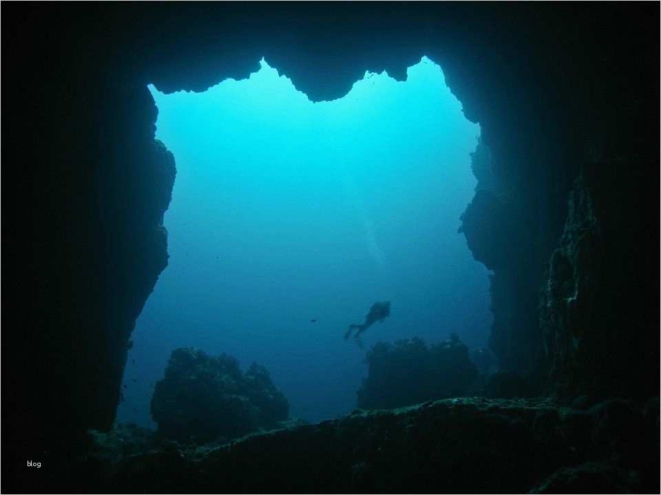 Mmse Test Vorlage Cool Ungewöhnlich Vorlage Für Körperliche Untersuchung