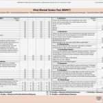 Mmse Test Vorlage Gut 87 021 Barthel Mmst Plan2care Stationär