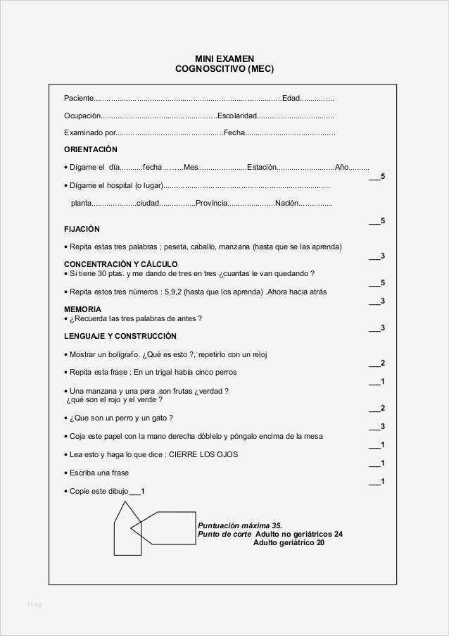 Mmse Test Vorlage Wunderbar Minimental Test