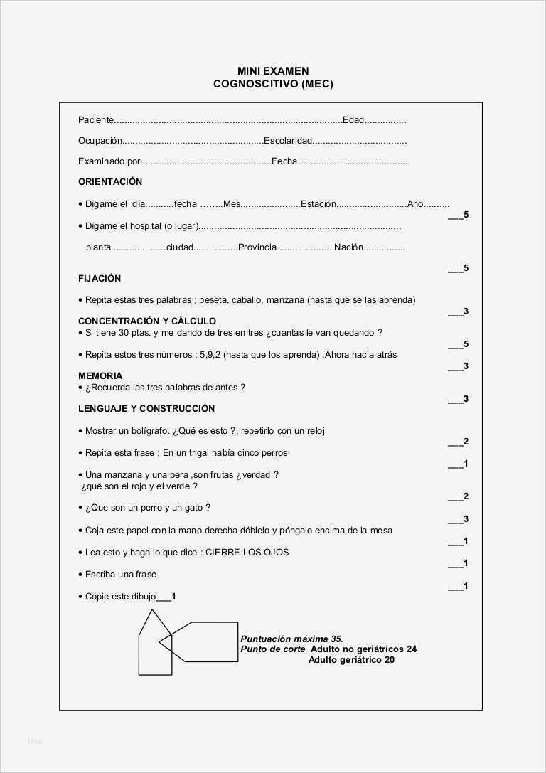 Mmse Test Vorlage Wunderbar Minimental Test