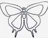 Mobile Vorlagen Zum Ausdrucken Cool Schmetterling Basteln Schmetterlinge Aus Filz Papier