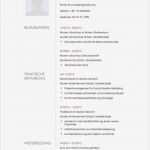 Moderner Lebenslauf Vorlage Angenehm 31 Best Images About Lebenslauf Vorlagen &amp; Muster On