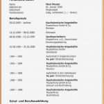 Moderner Lebenslauf Vorlage Kostenlos Bewundernswert Gemütlich Kostenlose Moderne Lebenslauf Vorlagen Bilder