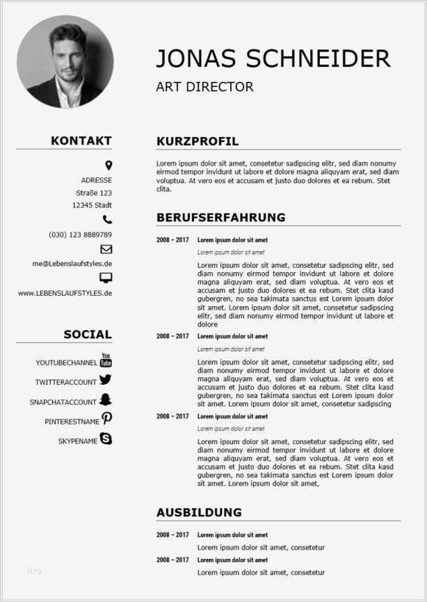 Moderner Lebenslauf Vorlage Kostenlos Fabelhaft Bewerbungsmuster Schlichtes Design