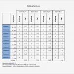 Morphologischer Kasten Vorlage Excel Einzigartig Paarweiser Vergleich Nutzwertanalyse Incl Excel Vorlage