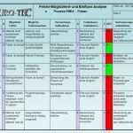Morphologischer Kasten Vorlage Excel Gut Großzügig Fmea Vorlage Frei Bilder Beispiel
