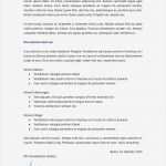 Motivationsschreiben Vorlage Word Erstaunlich Bewerbungsmuster Finanzberater