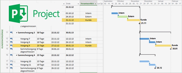 Ms Project Vorlagen Bewundernswert Microsoft Project Ansichten Anpassen Und Speichern