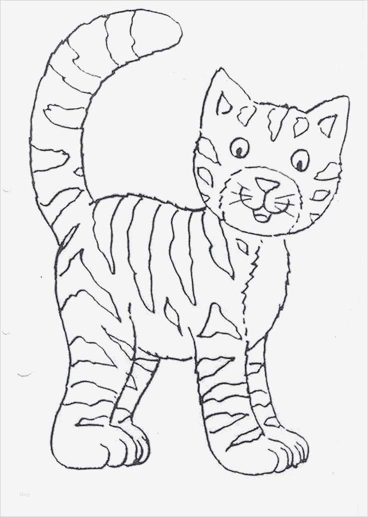 Nagelbilder Vorlagen Gut Die Besten 25 Ausmalbilder Hunde Ideen Auf Pinterest