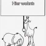 Namensschilder Vorlagen Ausdrucken Genial Vorlagen Namensschilder Ausdrucken – Vorlagen Kostenlos