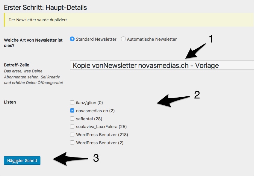 Newsletter Liste Vorlage Beste Anleitung Zur Erstellung Einer Newsletter – Novasmedias