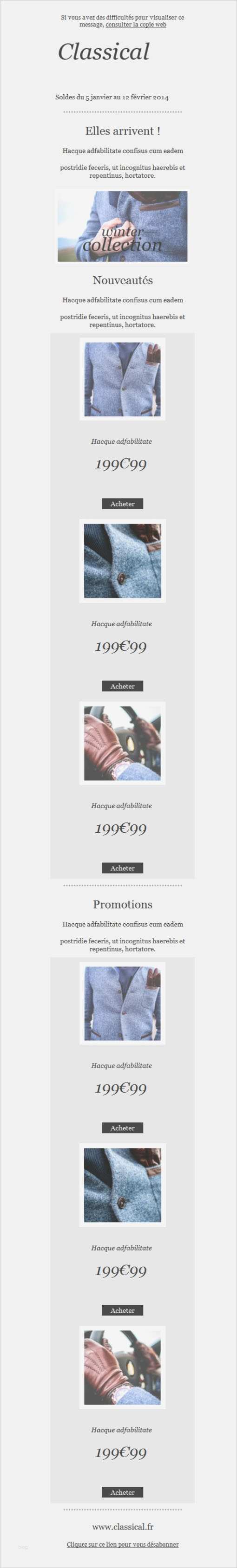 Kostenlose Newsletter Vorlage Classical