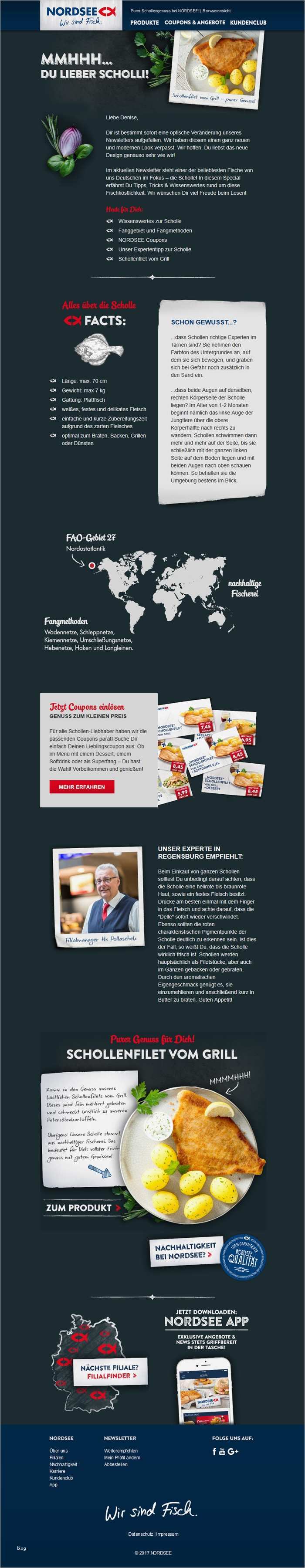 Newsletter Vorlagen Erstellen Wunderbar Schön Schule Newsletter Vorlagen Bilder Vorlagen Ideen