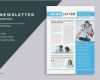 Newsletter Vorlagen Genial Business Newsletter Template Brochure Templates