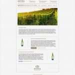 Newsletter Vorlagen Genial Großartig Newsletter Vorlage Fotos Vorlagen Ideen