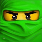 Ninjago Einladung Vorlage Inspiration Lego Ninjago Rise Of the Snakes by the Lego Group Mx