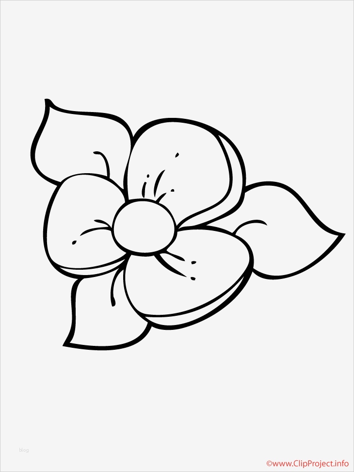 Nutzungsbedingungen Vorlage Großartig Blume Window Color Vorlage