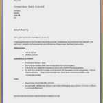 Offizieller Brief Vorlage Erstaunlich Fizieller Brief Vorlage Neu 9 Anrede Brief Englisch