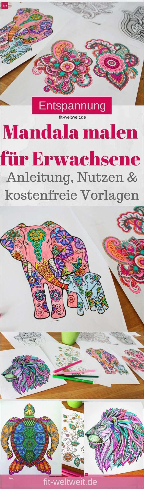 Onlineshop Design Vorlagen Einzigartig 100 Malen Bilder Vorlagen Bilder Ideen