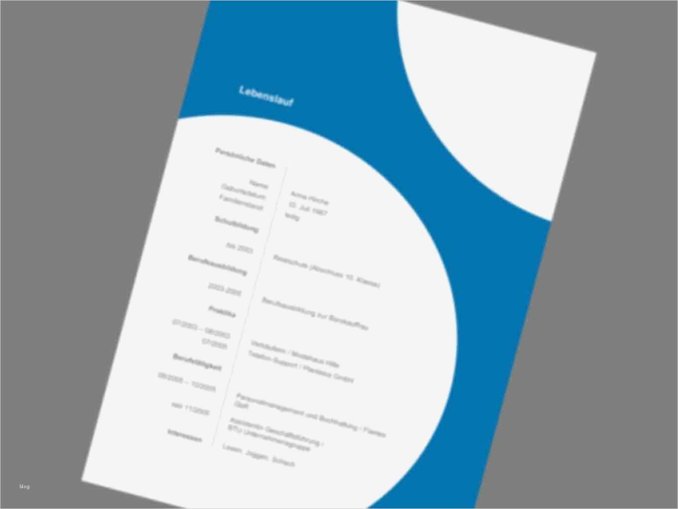 Onlineshop Design Vorlagen Süß Musterbewerbung Vorlagen Bewerbung Agentur